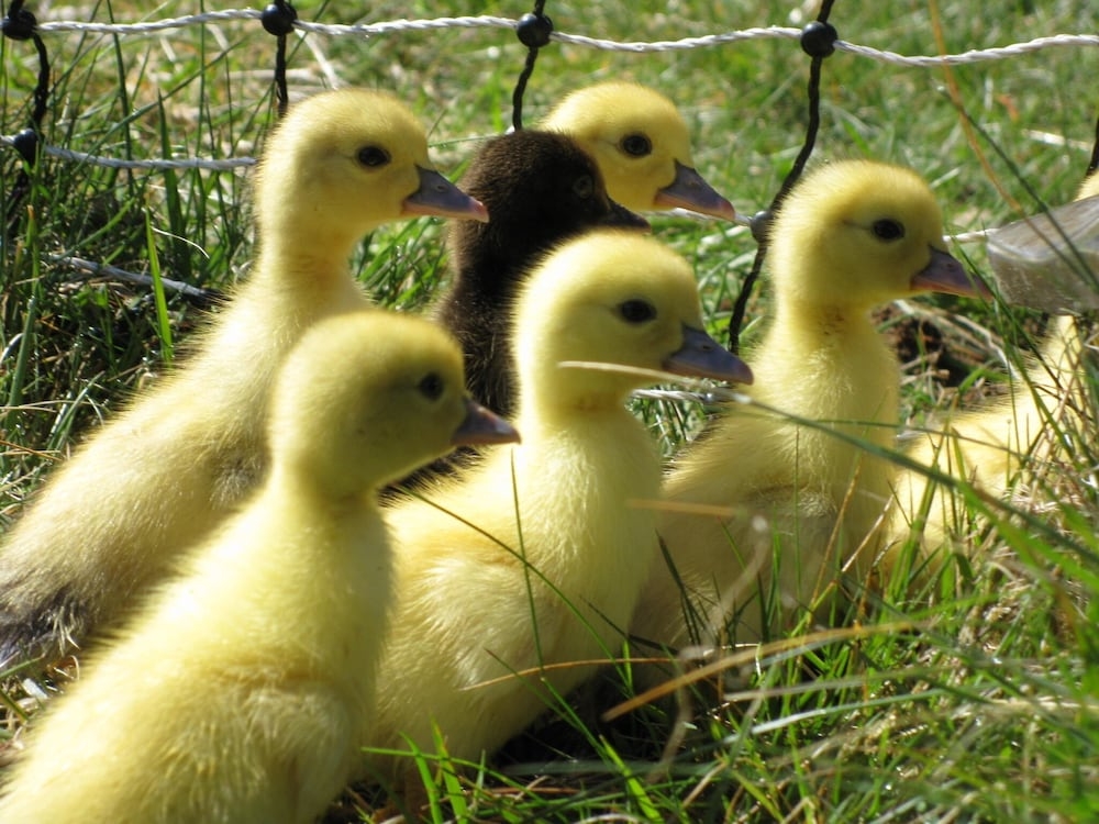 숙박 시설 구내
