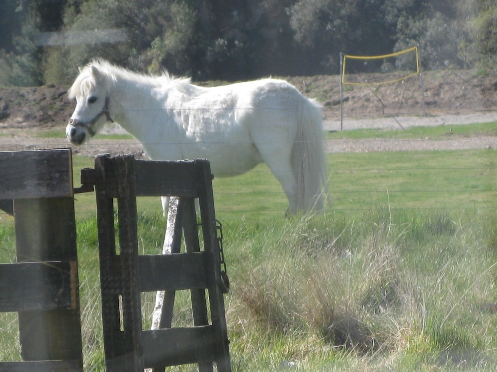 숙박 시설 구내