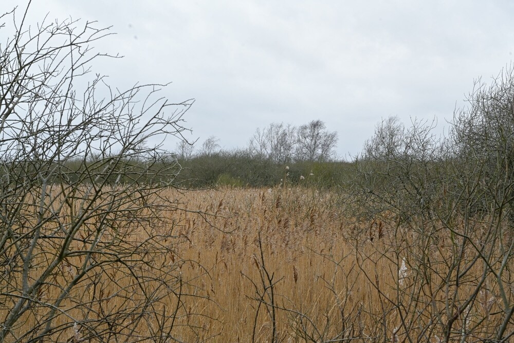숙박 시설 구내