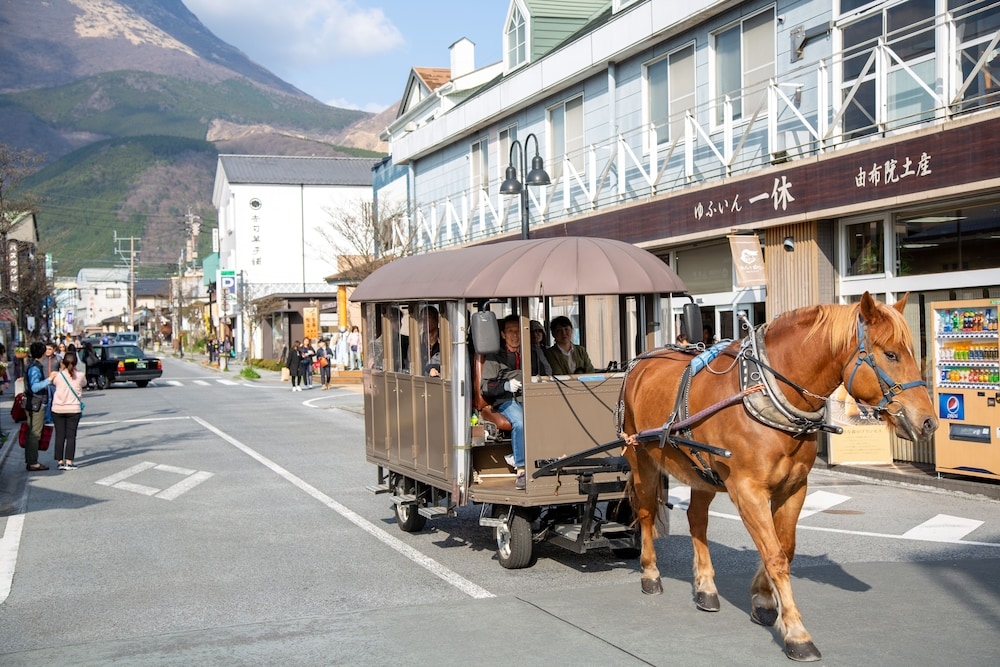 숙박 시설에서 보는 시내 전망