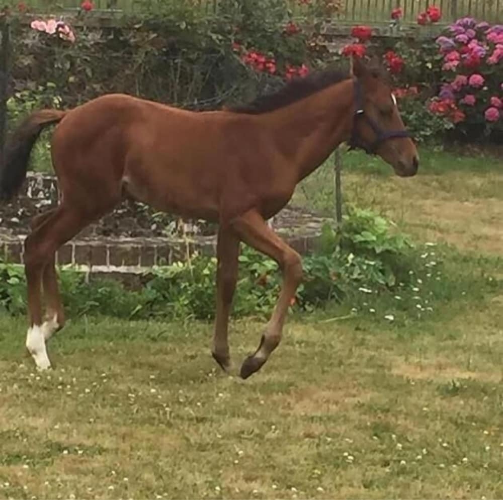 숙박 시설 구내