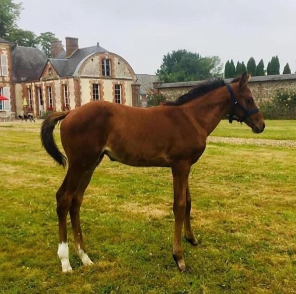 숙박 시설 구내