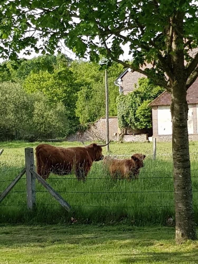 숙박 시설 구내