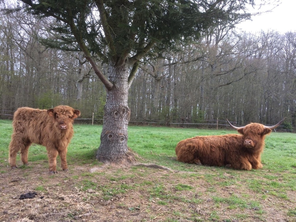 숙박 시설 구내