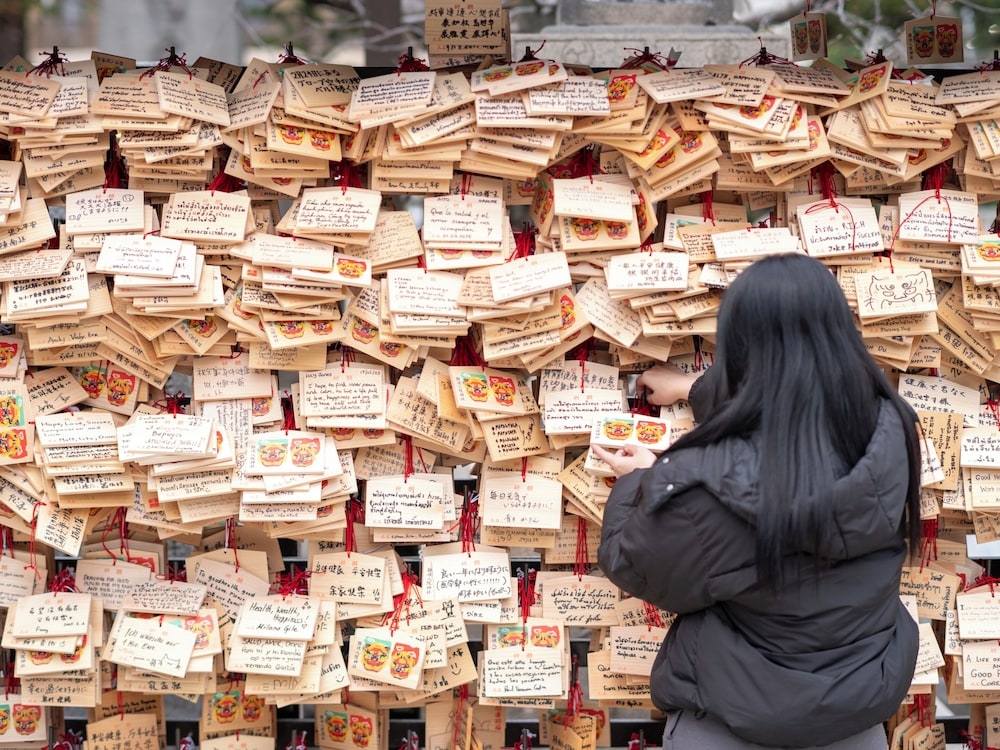 숙박 시설에서 보는 주변 전망