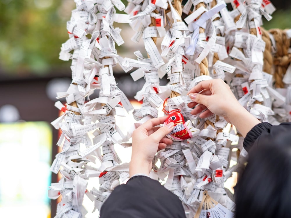 숙박 시설에서 보는 주변 전망