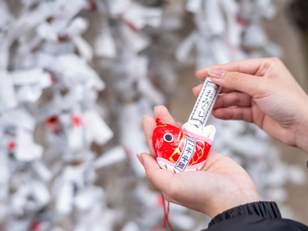 숙박 시설에서 보는 주변 전망