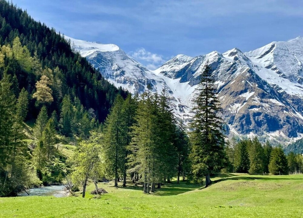 숙박 시설의 전망