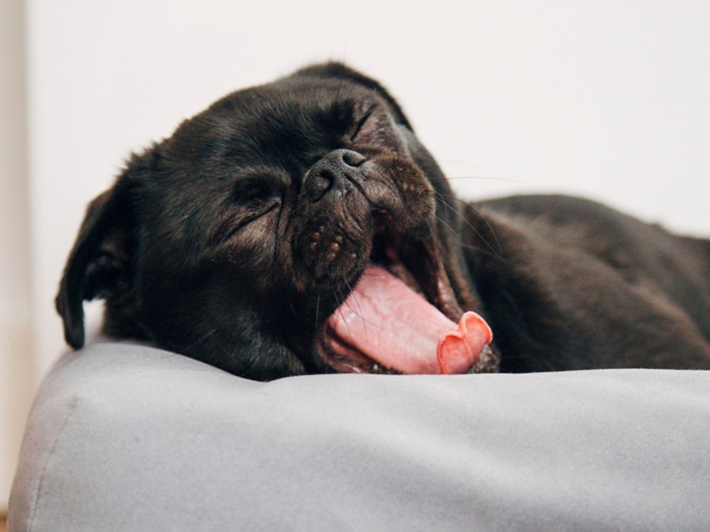 숙박 시설 내 편의 시설/서비스