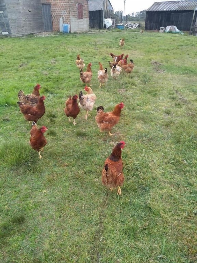 숙박 시설 구내