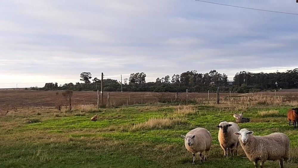 숙박 시설 구내