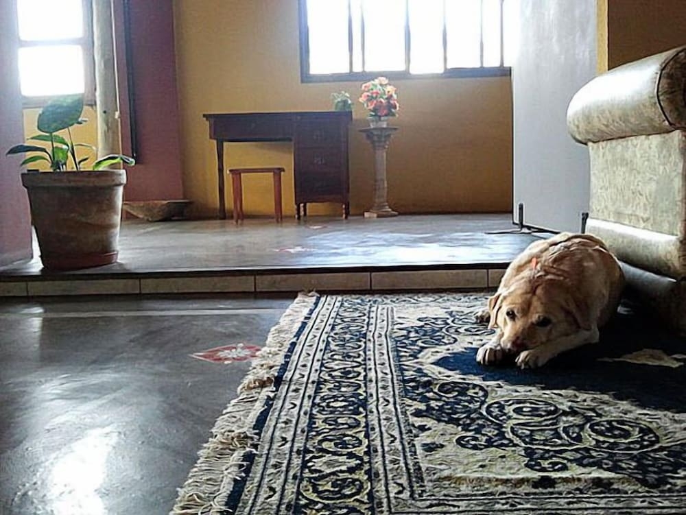 반려동물 동반 가능