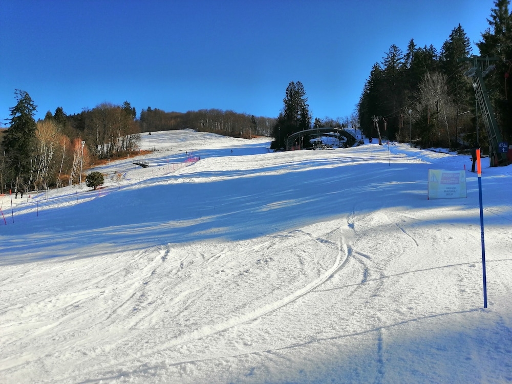 스키 및 겨울 스포츠