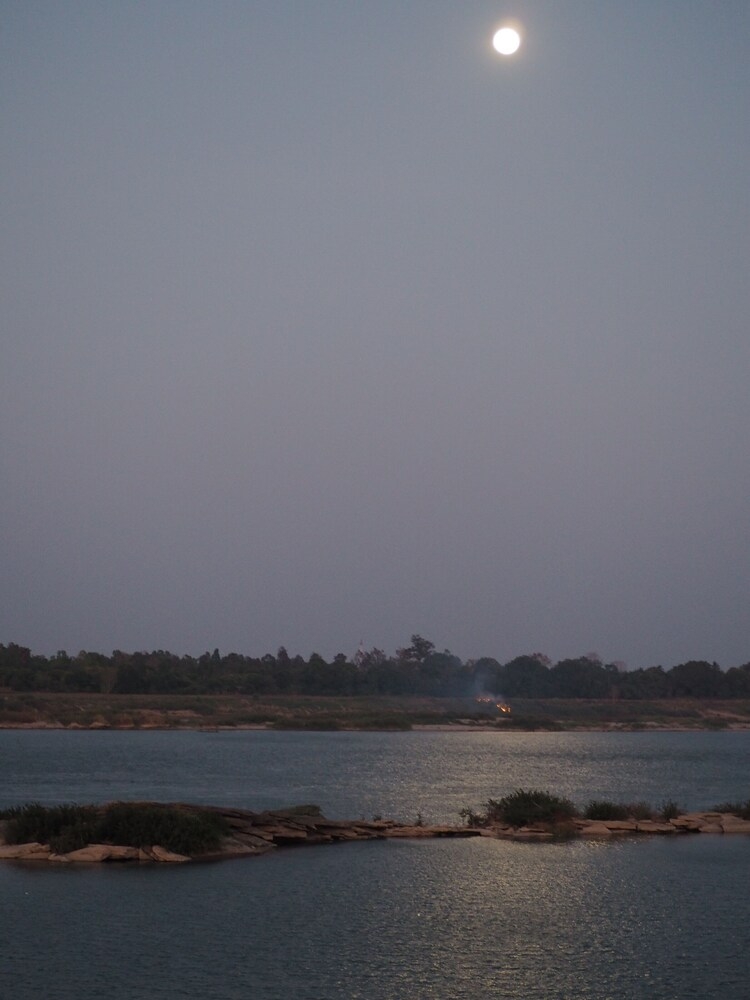 객실에서 보이는 전망