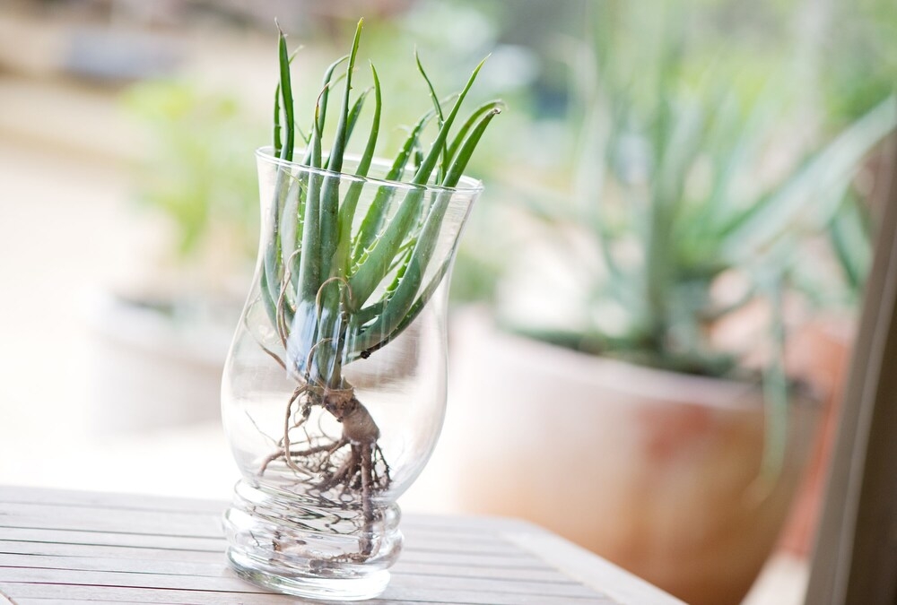 내부 세부 사진