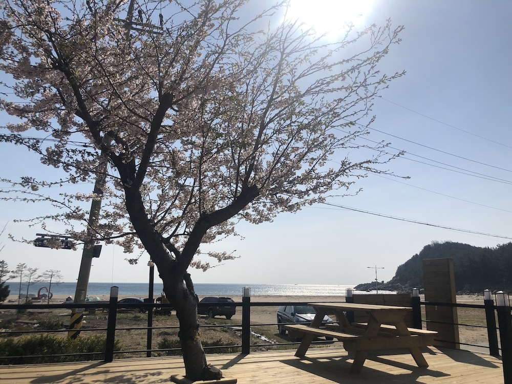 숙박 시설 정면