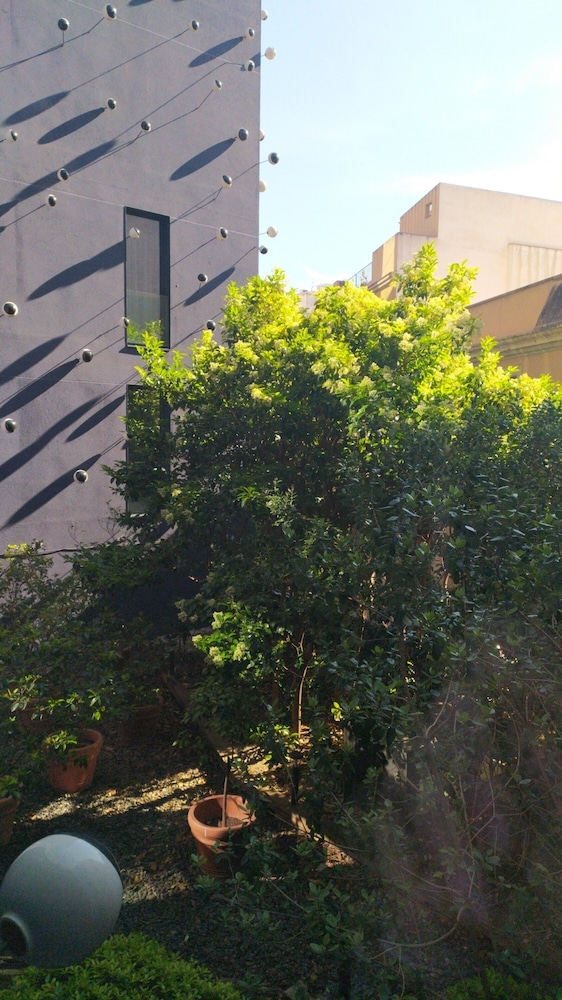 객실에서 보이는 전망