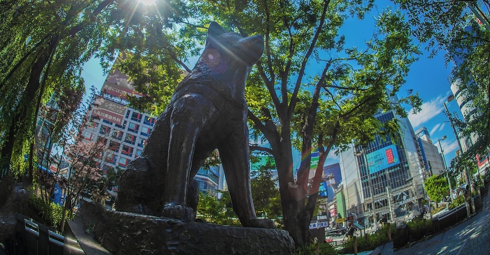 숙박 시설에서 보는 시내 전망