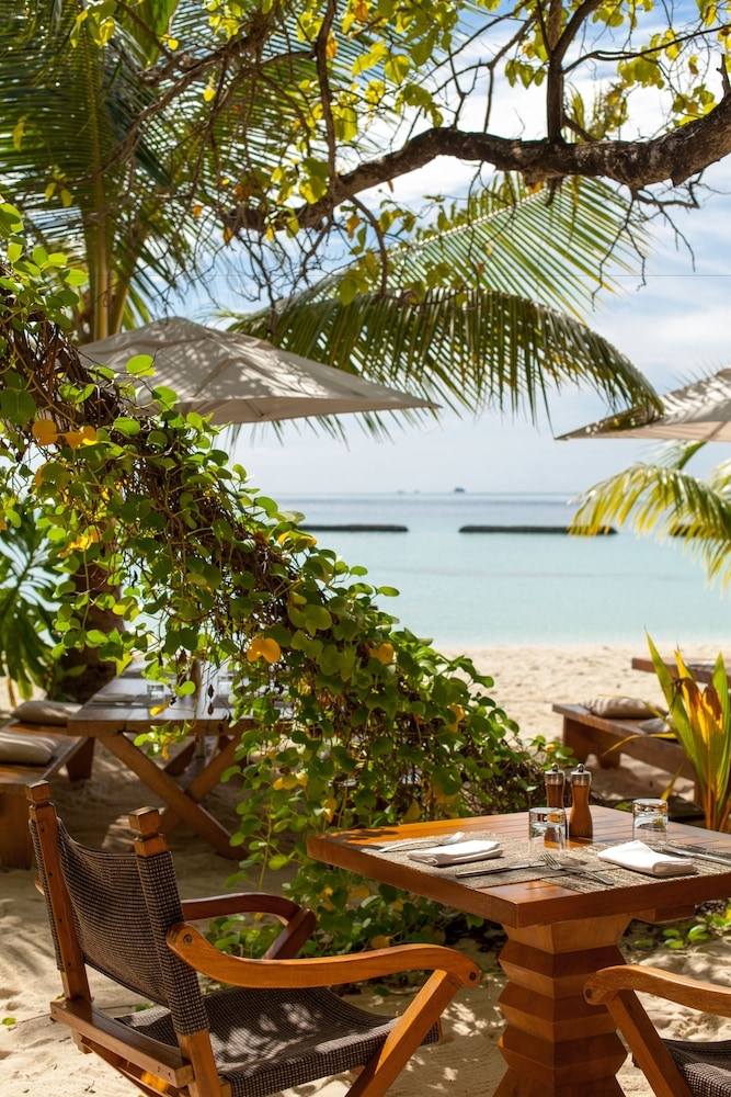 바(숙박 시설 내)