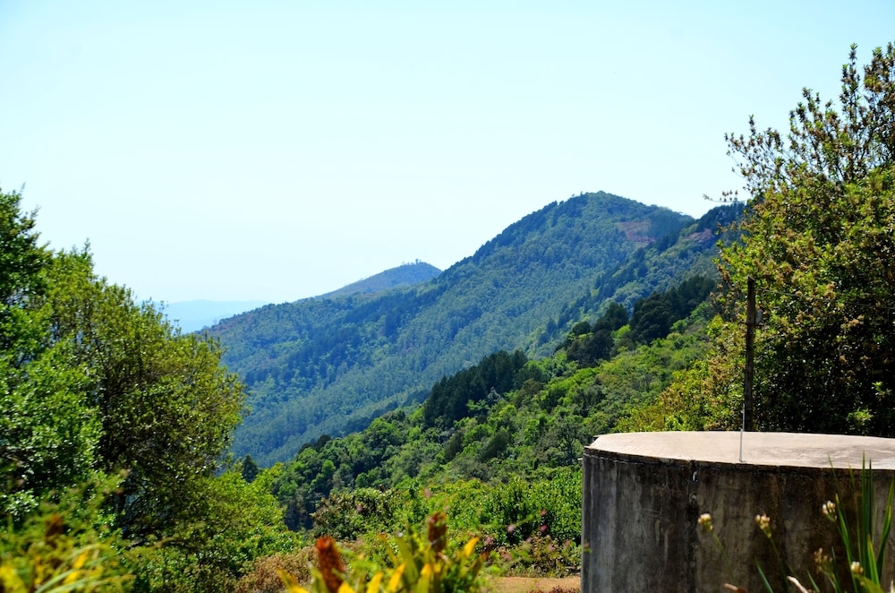 숙박 시설의 전망