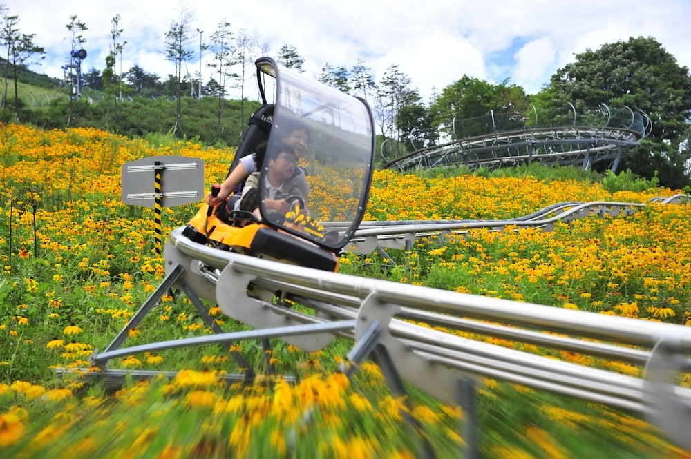 어린이 놀이 공간 - 야외