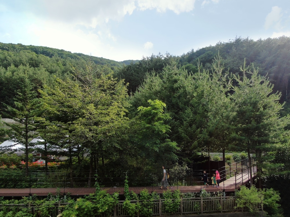 숙박 시설의 전망