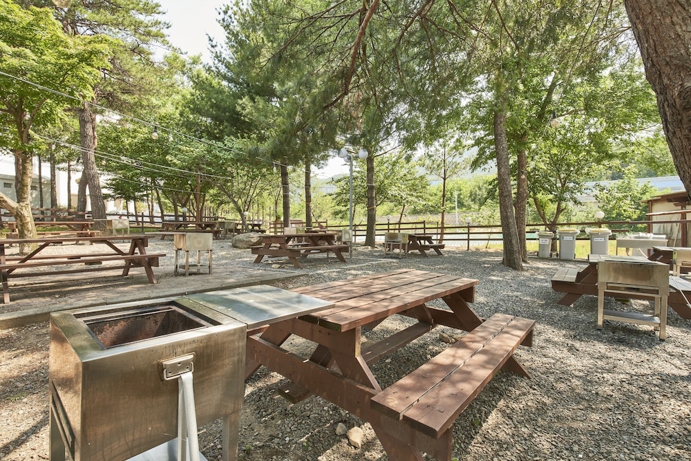 BBQ/피크닉 공간