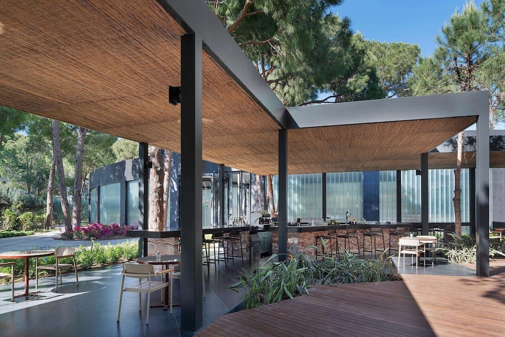 바(숙박 시설 내)