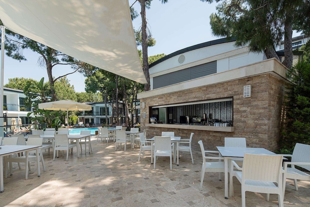 바(숙박 시설 내)