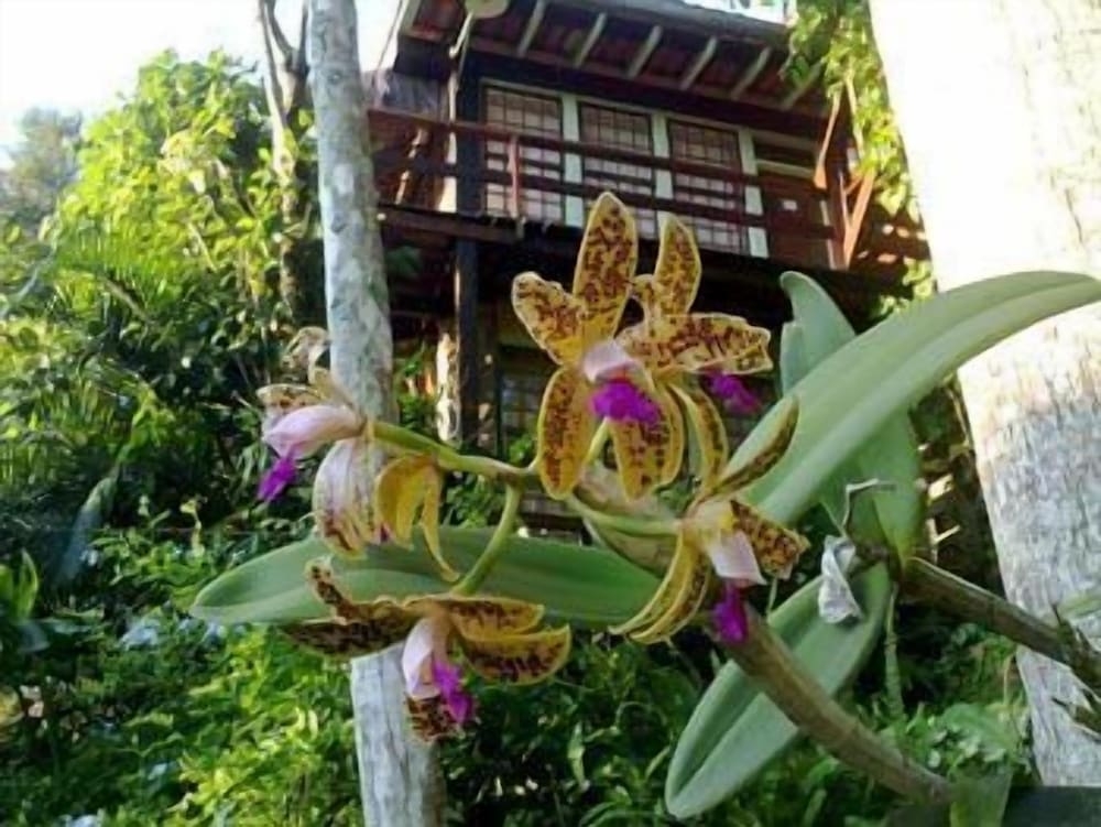 외부 세부 사진