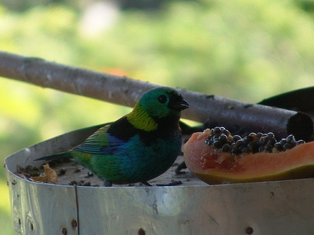 숙박 시설의 전망