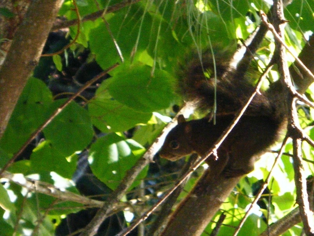 숙박 시설의 전망