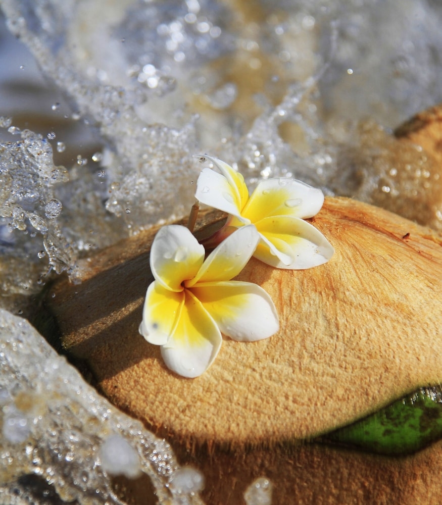 객실에서 보이는 전망