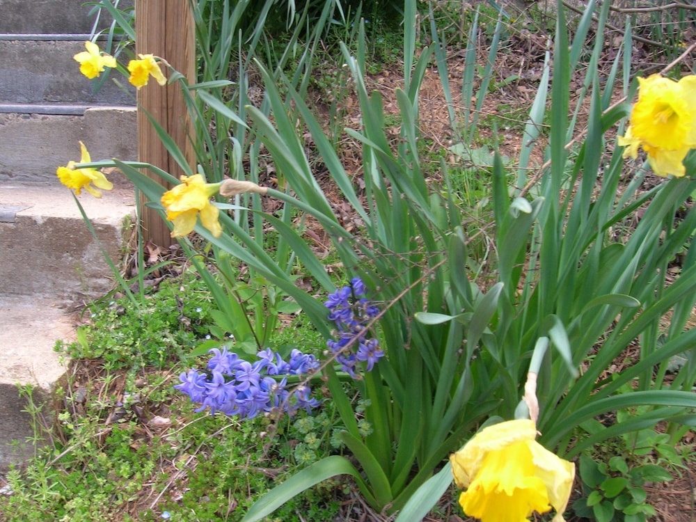 숙박 시설의 전망