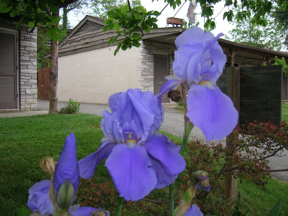 외부 세부 사진