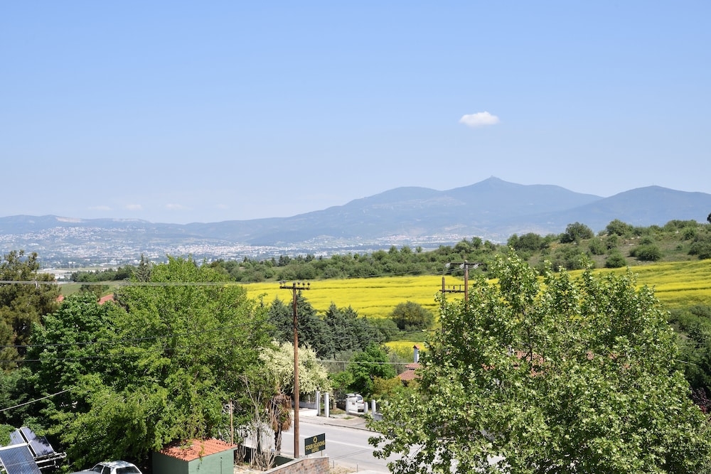 객실에서 보이는 전망