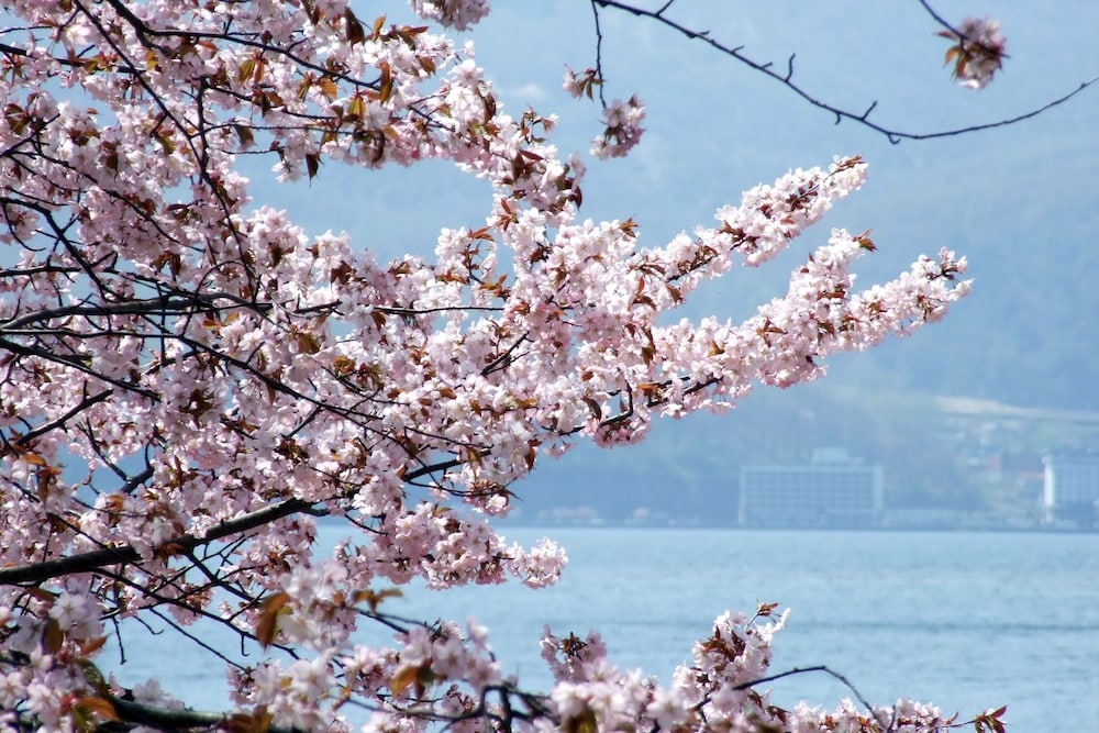 숙박 시설의 전망