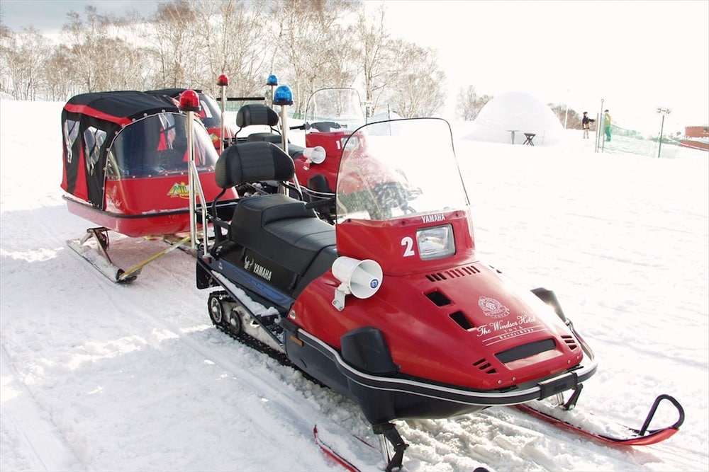 스키 및 겨울 스포츠