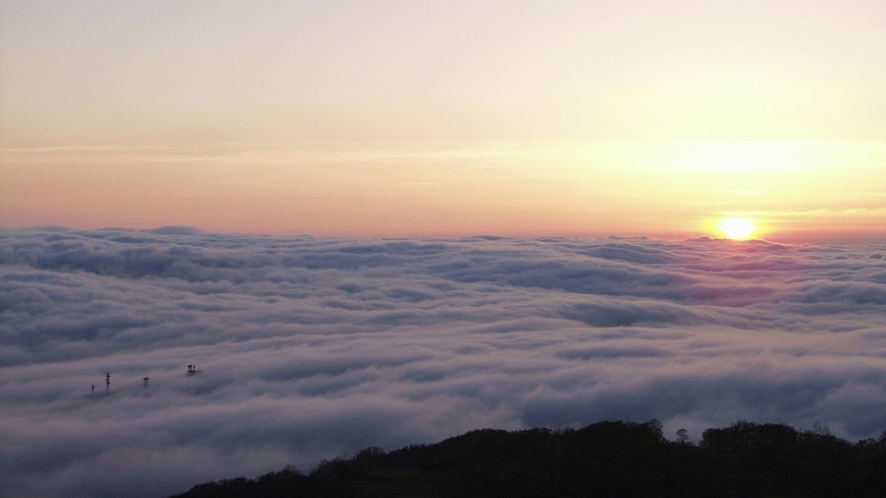 숙박 시설 내 편의 시설/서비스