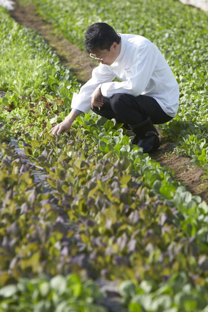 숙박 시설 내 편의 시설/서비스