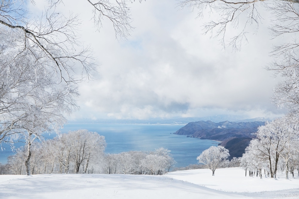 숙박 시설 구내