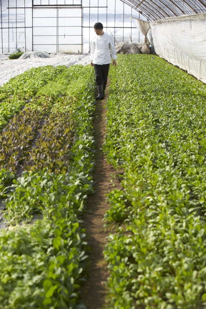 숙박 시설 내 편의 시설/서비스