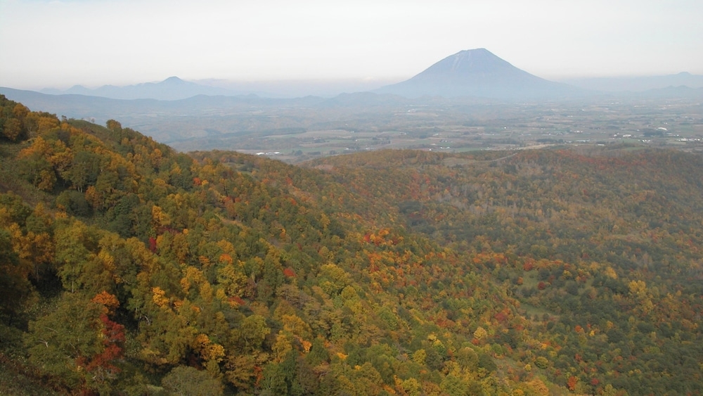 숙박 시설 내 편의 시설/서비스