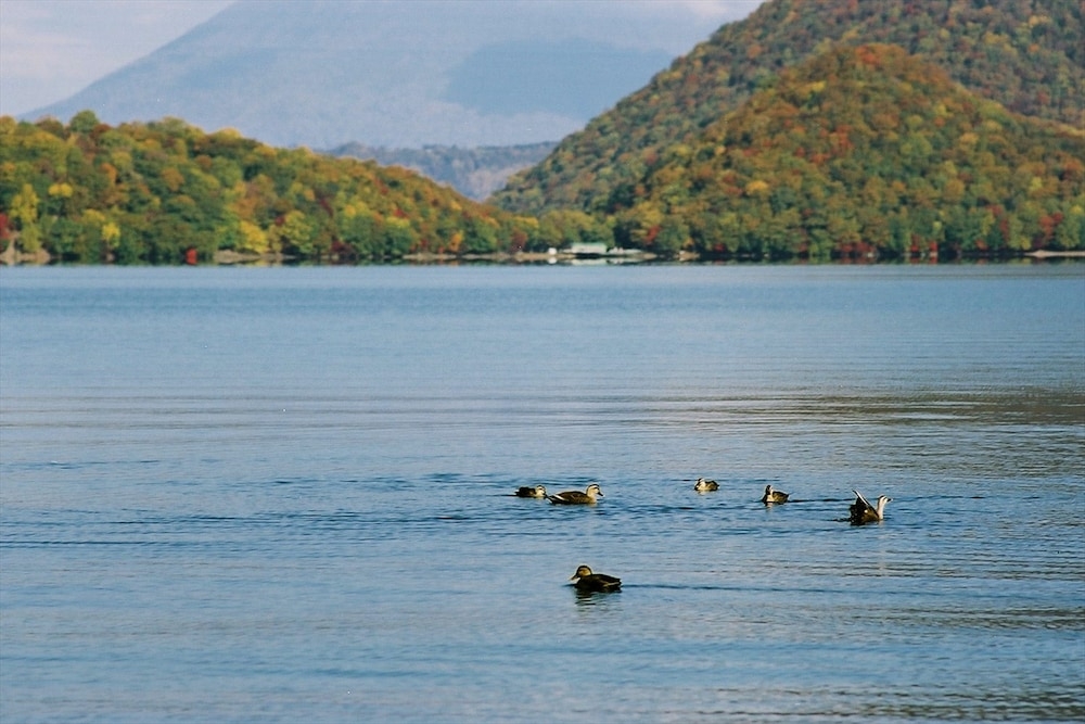 숙박 시설의 전망