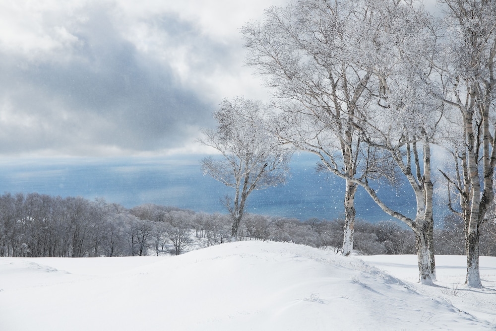 숙박 시설 구내