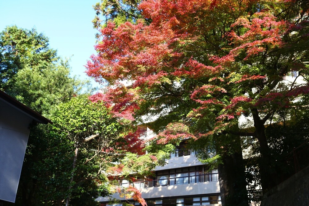 외부 세부 사진