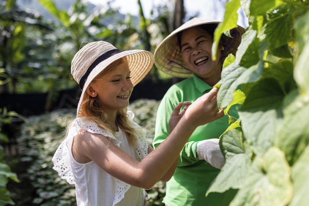 숙박 시설 내 편의 시설/서비스
