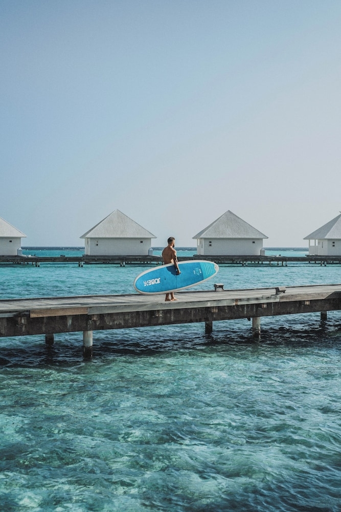 서핑/부기 보드