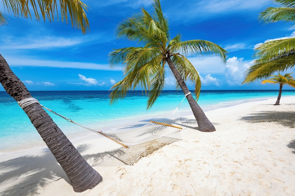 숙박 시설에서 보는 주변 전망