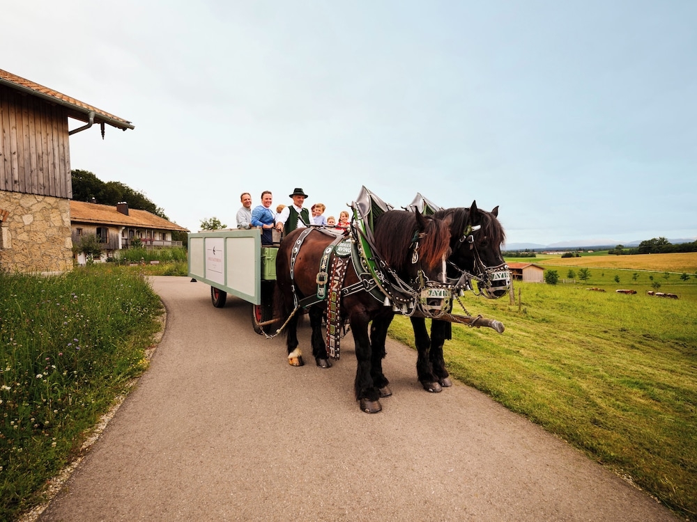 어린이 즐길거리